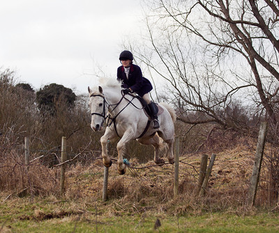 Tara Harriers' Lawn Meet @ Denis Cusack's, Ashfield. February 17th 2011