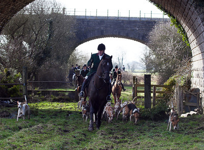 Tara Harriers' Lawn Meet @ Denis Cusack's, Ashfield. February 17th 2011