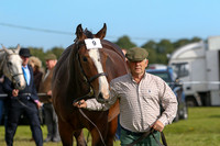 PUNCHESTOWN IDHBA SHOW, SEPTEMBER 2nd