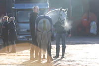 Kildare Foxhounds, Kilkea, Jan 10th