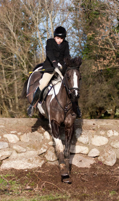 Kilkenny Foxhounds @ Ullard. January 6th 2011