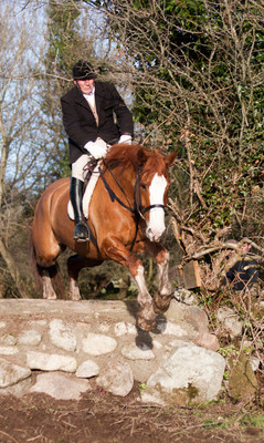 Kilkenny Foxhounds @ Ullard. January 6th 2011