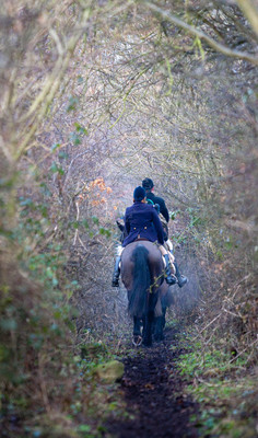 Kilkenny Foxhounds @ Ullard. January 6th 2011