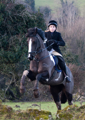Kilkenny Foxhounds @ Ullard. January 6th 2011