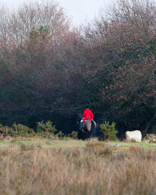 Kilkenny Foxhounds @ Ullard. January 6th 2011