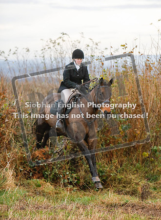 LYNDA WALSH