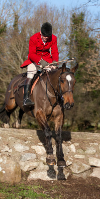 Kilkenny Foxhounds @ Ullard. January 6th 2011