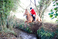 Kildare Foxhounds, Brown Bear, Dec 19th
