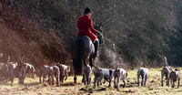Kilkenny Foxhounds @ Ullard. January 6th 2011