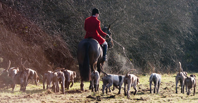 Kilkenny Foxhounds @ Ullard. January 6th 2011