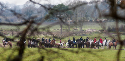 Kilkenny Foxhounds @ Ullard. January 6th 2011
