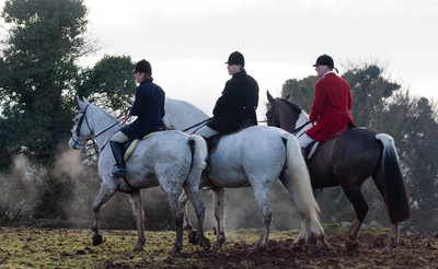 Kilkenny Foxhounds @ Ullard. January 6th 2011
