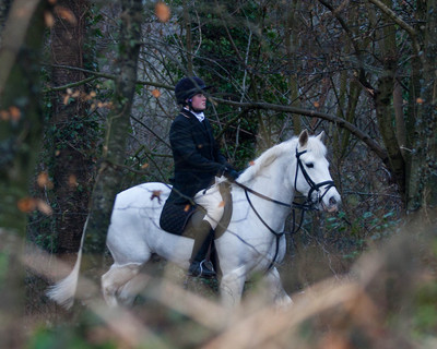 Kilkenny Foxhounds @ Ullard. January 6th 2011