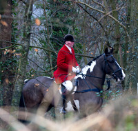 Kilkenny Foxhounds @ Ullard. January 6th 2011