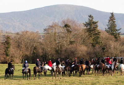 Kilkenny Foxhounds @ Ullard. January 6th 2011