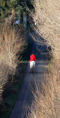 Kilkenny Foxhounds @ Ullard. January 6th 2011