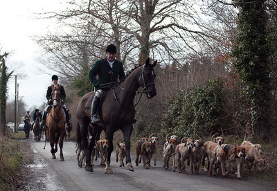 Tara Harriers' Lawn Meet @ Denis Cusack's, Ashfield. February 17th 2011