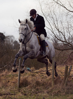 Tara Harriers' Lawn Meet @ Denis Cusack's, Ashfield. February 17th 2011