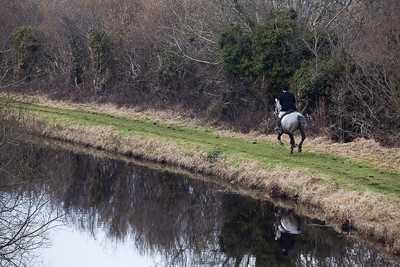 Tara Harriers' Lawn Meet @ Denis Cusack's, Ashfield. February 17th 2011