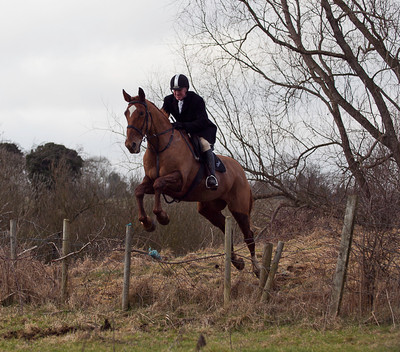 Tara Harriers' Lawn Meet @ Denis Cusack's, Ashfield. February 17th 2011