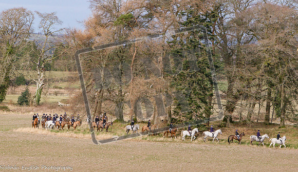 KILDARE FOXHOUNDS
