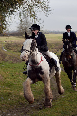 Tara Harriers' Lawn Meet @ Denis Cusack's, Ashfield. February 17th 2011