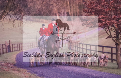 KILDARE FOXHOUNDS2