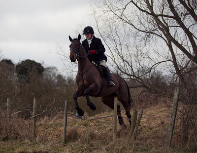 Tara Harriers' Lawn Meet @ Denis Cusack's, Ashfield. February 17th 2011