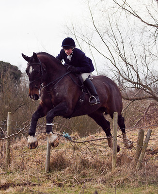Tara Harriers' Lawn Meet @ Denis Cusack's, Ashfield. February 17th 2011
