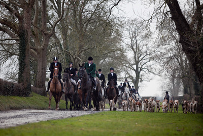 Tara Harriers' Lawn Meet @ Denis Cusack's, Ashfield. February 17th 2011