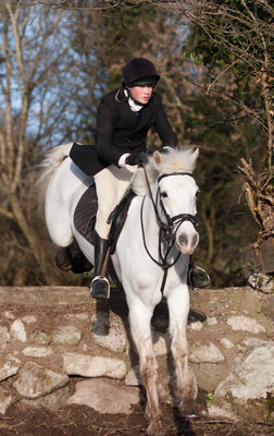 Kilkenny Foxhounds @ Ullard. January 6th 2011