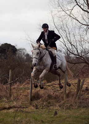 Tara Harriers' Lawn Meet @ Denis Cusack's, Ashfield. February 17th 2011
