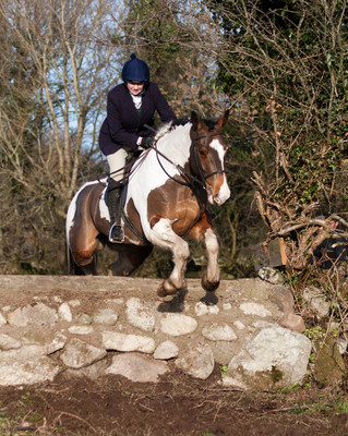 Kilkenny Foxhounds @ Ullard. January 6th 2011