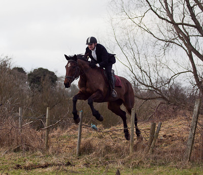 Tara Harriers' Lawn Meet @ Denis Cusack's, Ashfield. February 17th 2011